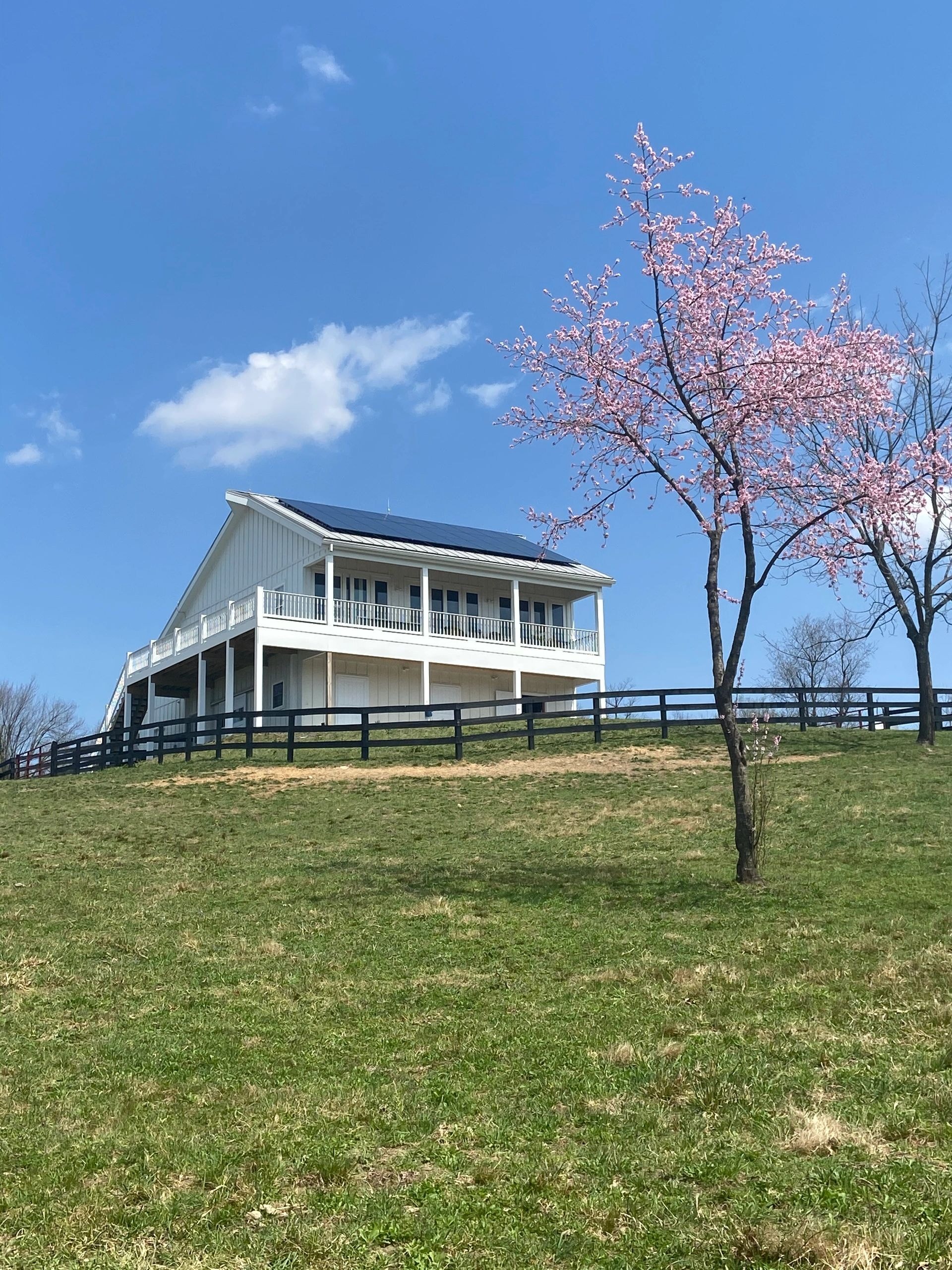 White farmhouse with blooming cherry tree